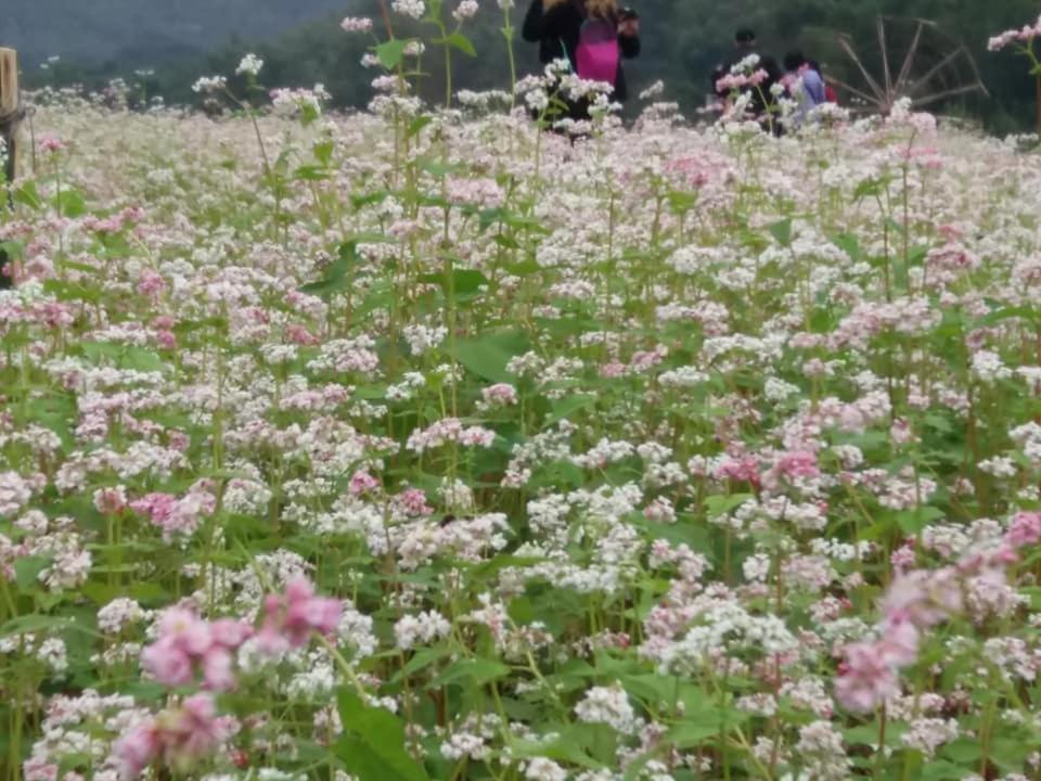 Mai Chau Xanh Bungalow Exteriér fotografie