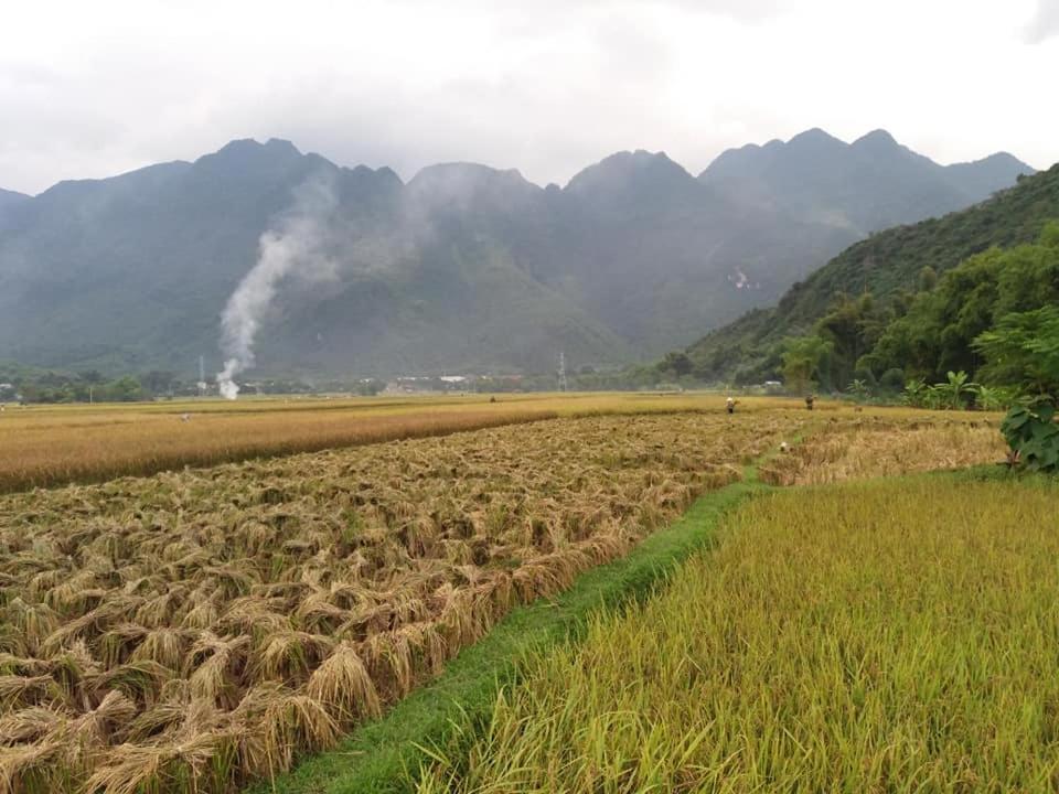 Mai Chau Xanh Bungalow Exteriér fotografie