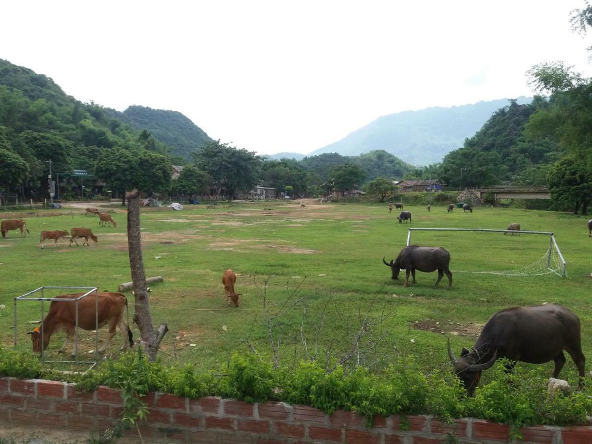 Mai Chau Xanh Bungalow Exteriér fotografie